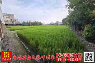 售東森房屋大雅中清店-神林路節稅自強田農地1,998萬